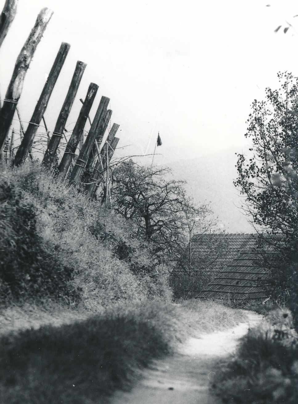 eika image